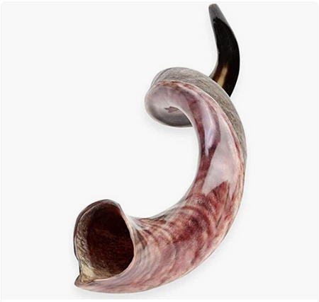 shofar 34-35 pouces