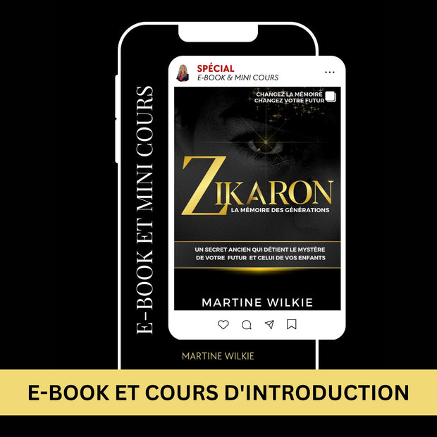 livre Zikaron format e-book et cours d'introduction